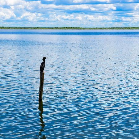 San Fernando Bacalar, Villa Pina Colada エクステリア 写真